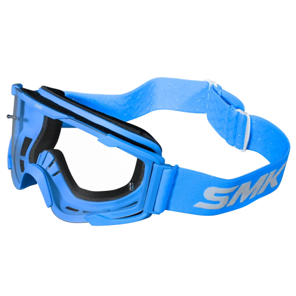 BLUE-GOGGLE